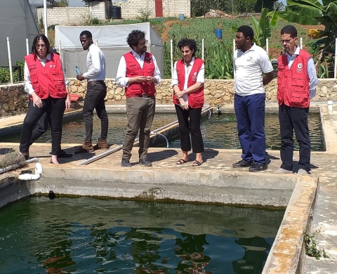 AQUHAITI. Piscifactoría de SOHADERK, Kenskoff.